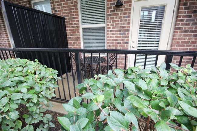 Área de patio/aire libre - Apartments on Edgehill