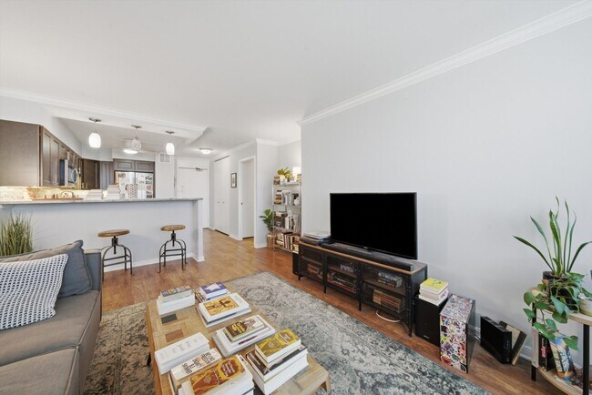 Photo - 1560 N Sandburg Terrace Unit 509J