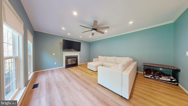 Building Photo - 14 Palace Ln