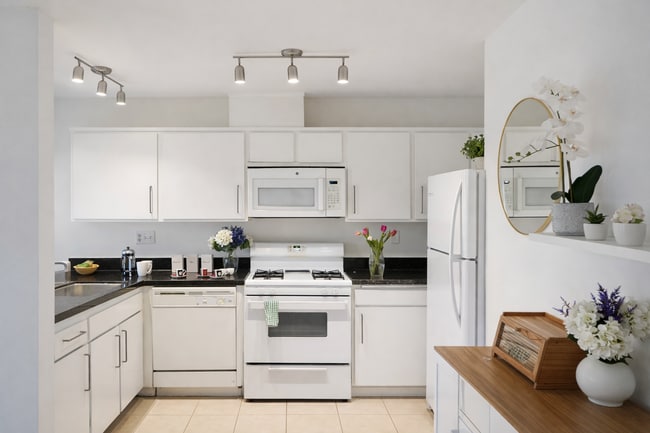 Modern kitchen with white cabinets and full size appliances. - 4401 Kraft Ave