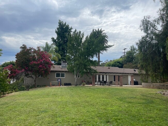 Backyard - 1640 Dwight St