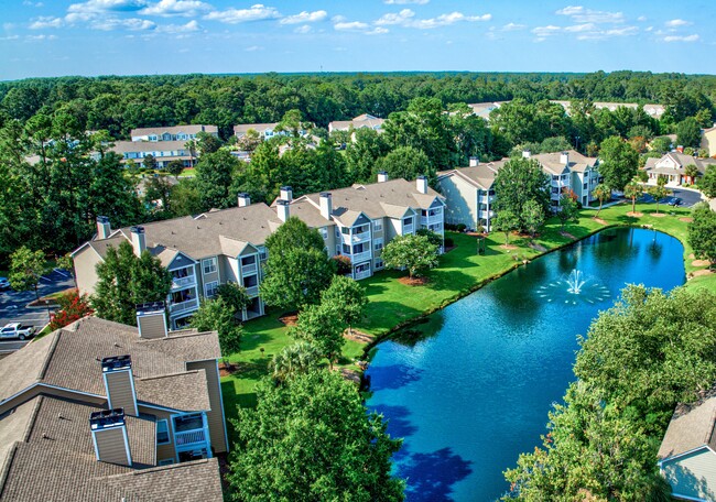 Palmetto Pointe - Palmetto Pointe Apartments