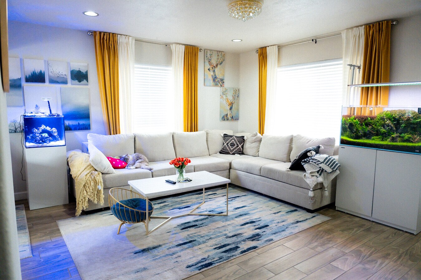 Photo - 1735 W Indianola Ave