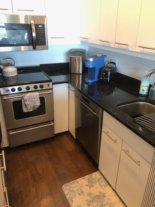 1550 N Lake Shore Dr Condo Unit 14E Condo for Rent in Chicago, IL