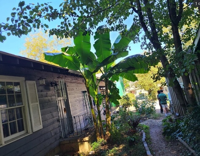 Building Photo - 185 Nantahala Ave Unit One and a half