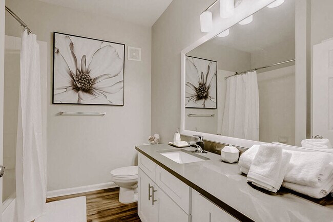 Building Photo - Finley At Fairfax Corner