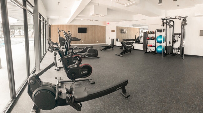 Fitness Gym - Life Fitness Equipment