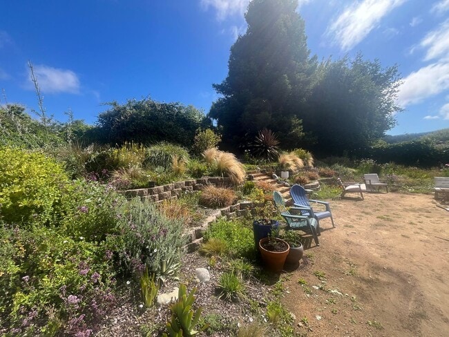 Photo - 3BD/2BA Arcata home features large backyard, quiet neighborhood!