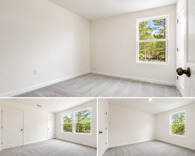 Photo - 135 Tiger Lily Ln