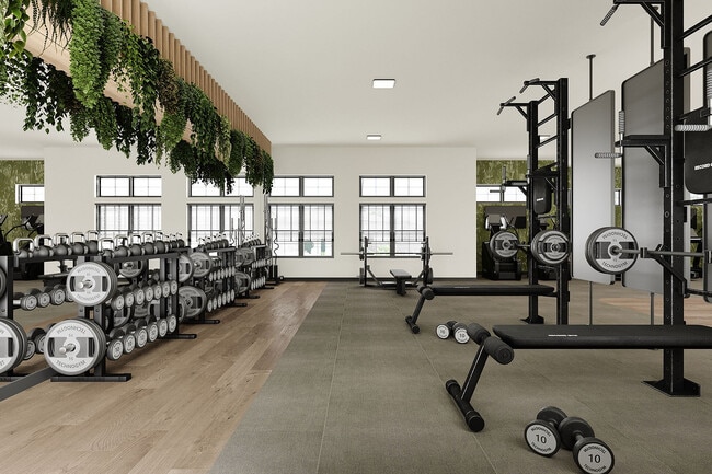 12-Gym1