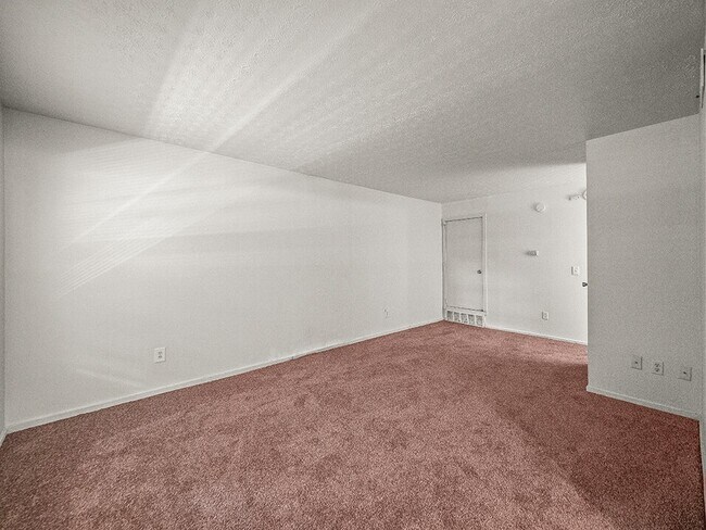 Cozy Carpeting