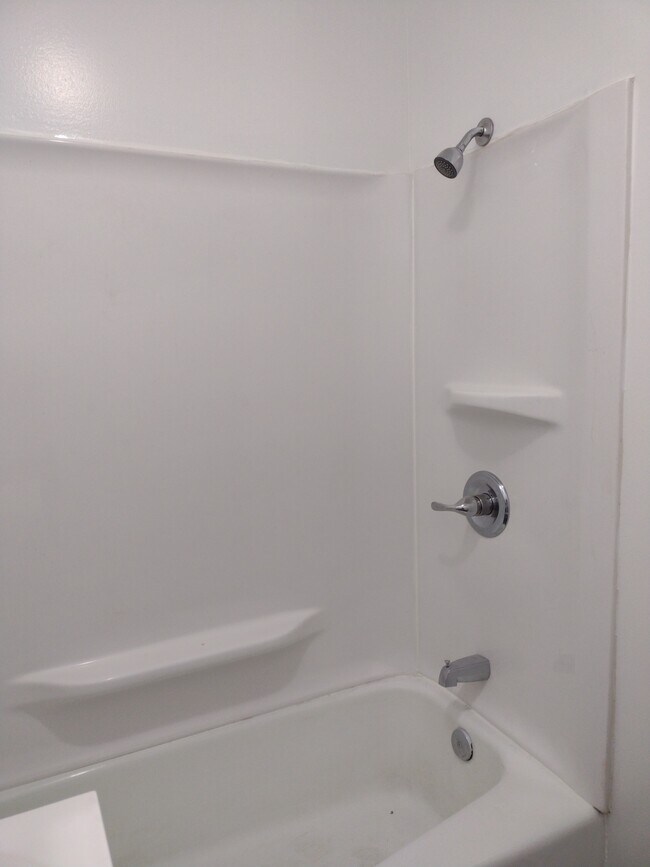 Tub/Shower - 1213 E Main St Unit 2