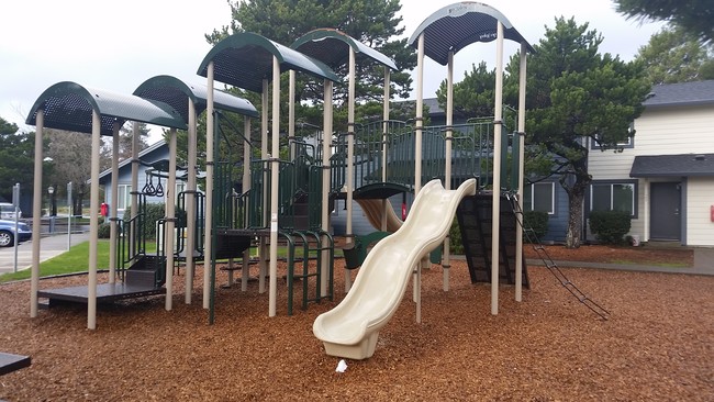 Photo - Siuslaw Dunes