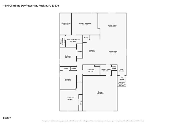 1616 Climbing Dayflower Dr