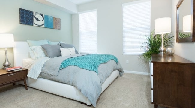 Photo - THE VINEYARDS