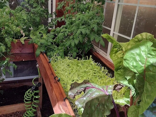 Greenhouse - 1630 E 2450 S