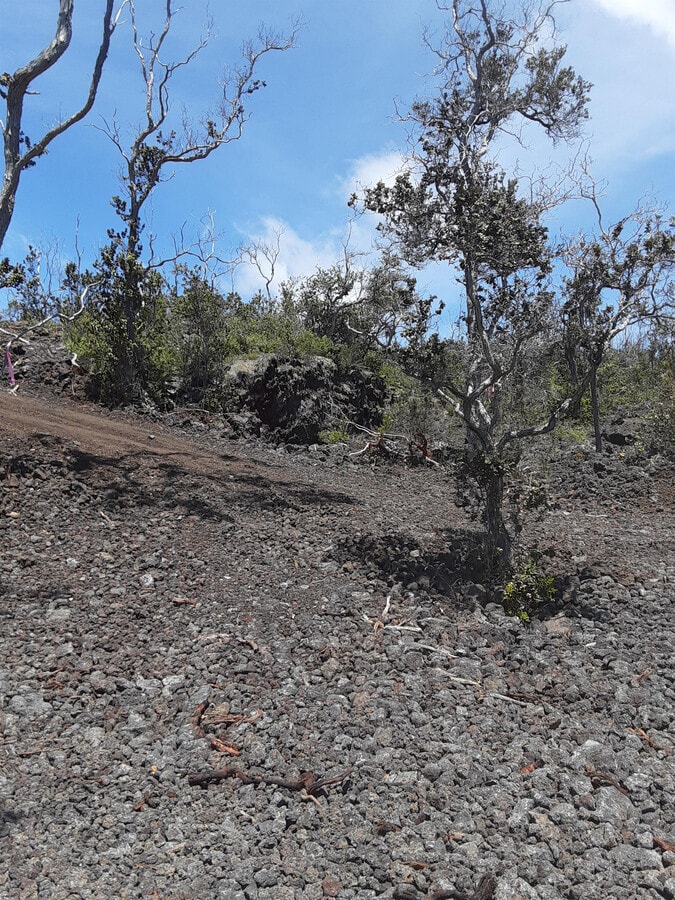 Photo - 92-2418 Lei Pkwy