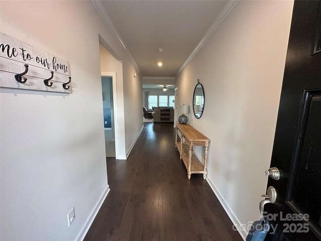 Photo - 4165 Canopy Creek Dr