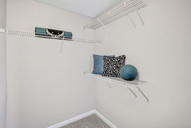 Bellingham Apartment Homes