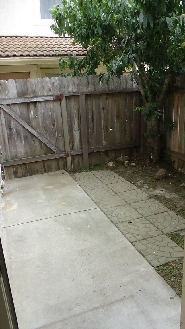 Front Yard/Patio - 712 Summerwood Ln