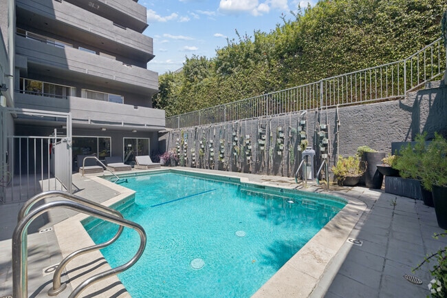 Pool - 939 Palm Avenue