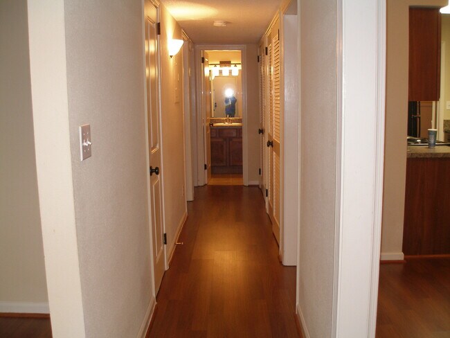 The hallway - 508 Patton Chapel Way Unidad 508