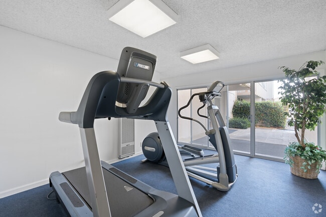 Fintess Center