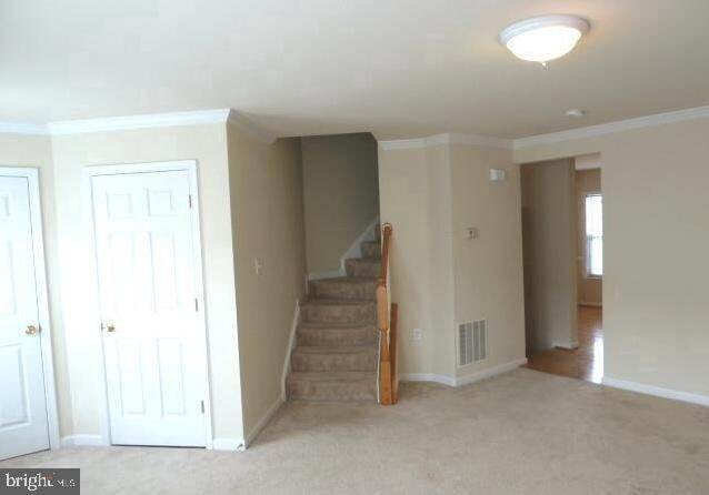 73 Eldon Dr