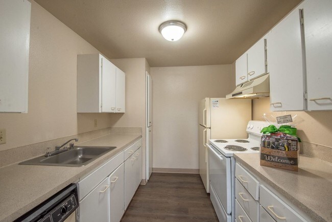 Functional Kitchen - Alta Apartments.