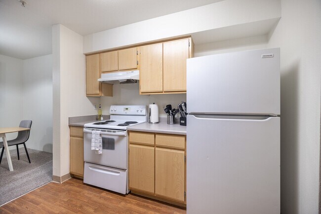 Photo - Allegro I103