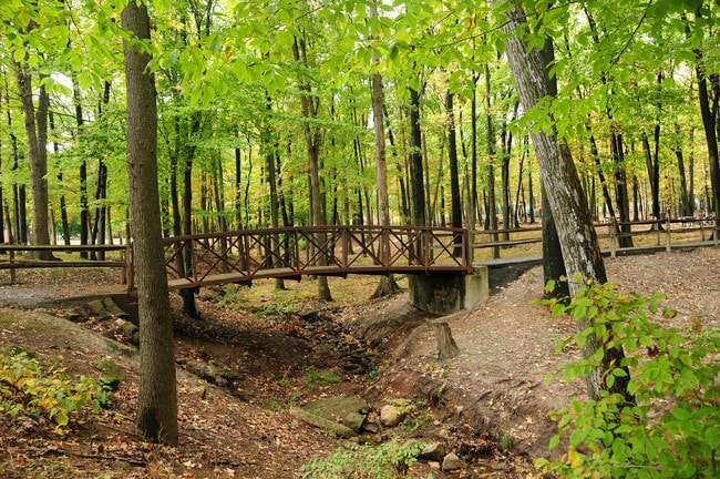Convery Gardens