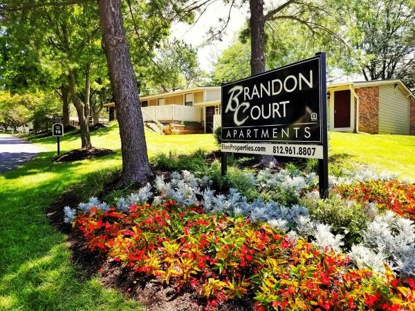 Brandon Court - Brandon Court Apartments