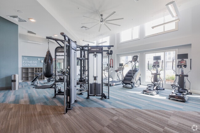 Gimnasio