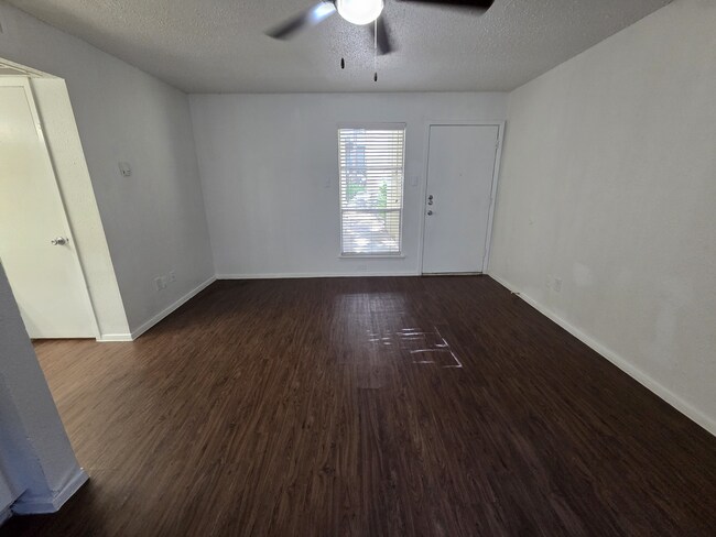 20250728_091635.jpg - Turtle Dove 1