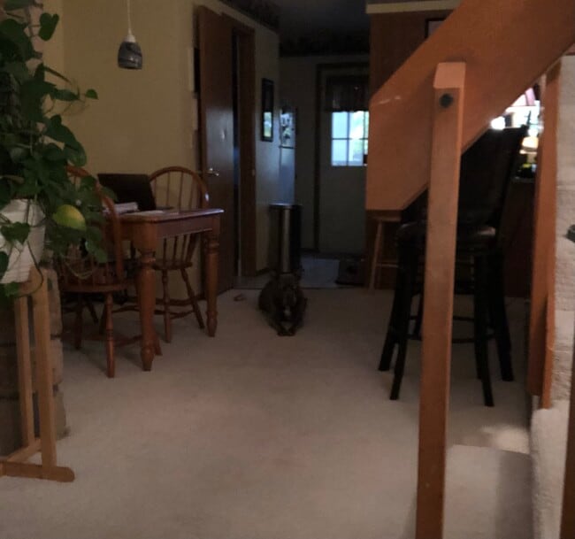 Comedor con acceso a la puerta trasera - 8185 S Fillmore Cir