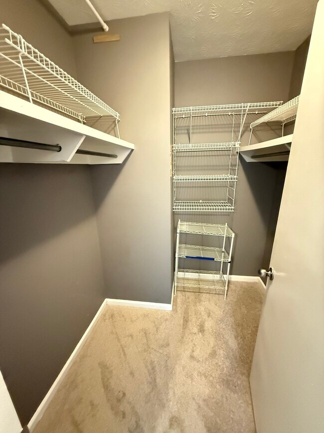 Walk-In Closet - 3140 Seven Pines Ct Unit 205