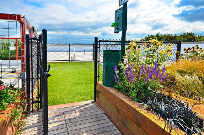 Photo - Forge West Seattle