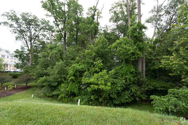 Building Photo - Ellicott Gardens II Rental