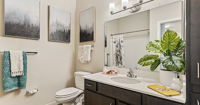 Bathroom-01-Stadium-Apartments-Fort-Collins-CO-12 - Stadium Apartments:  Off-Campus Student Ho...