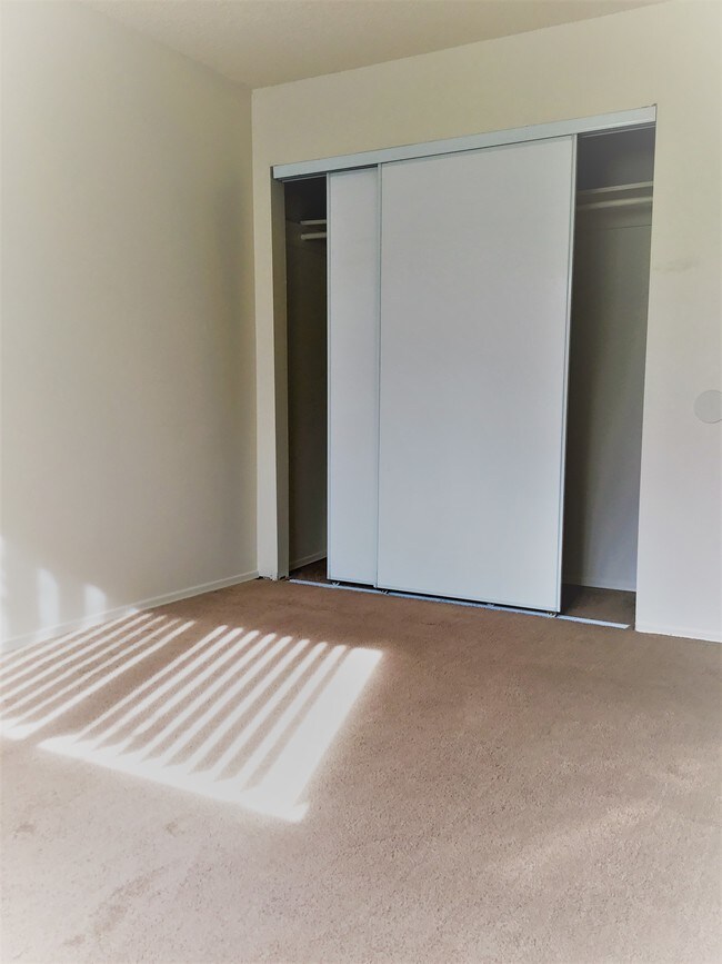 Photo - Bardon Apartments