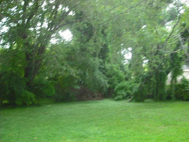 Photo - 327 Locust Ave