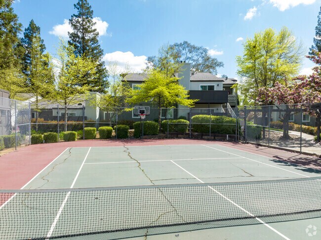 Tennis & Basketball