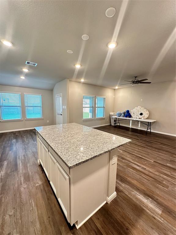 27006 Sunset Palace Dr House House Rental in Katy, TX