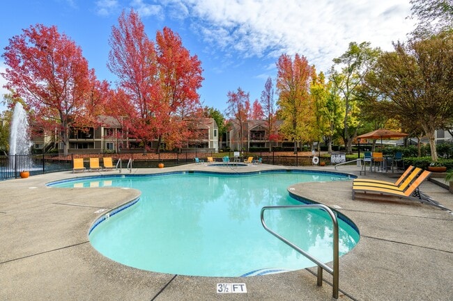 Leasing Center Pool and Spa