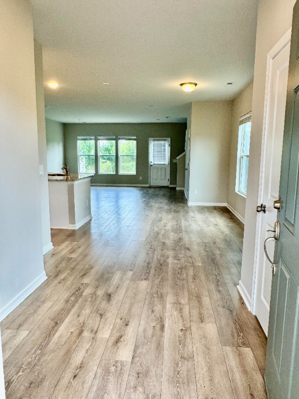 2441 Salem Creek Ct