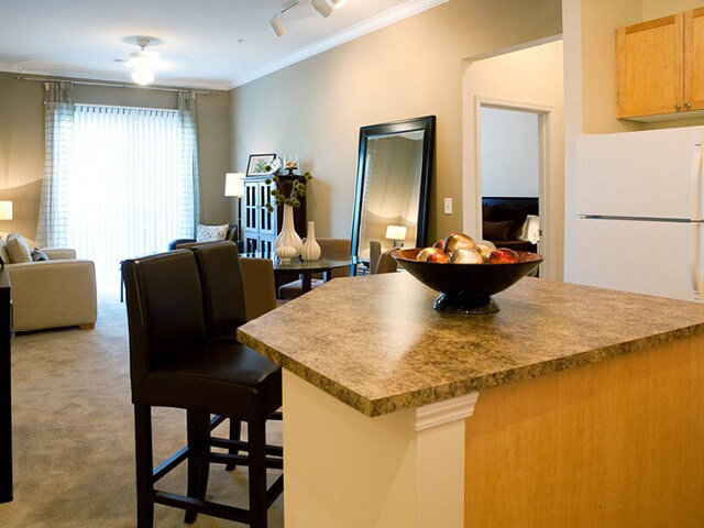 Apartments For Rent In Norfolk Va Forrent Com