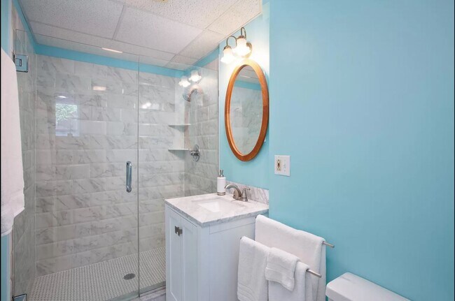 Cheery bathroom with updated shower - 1317 Summit Ave Unit B