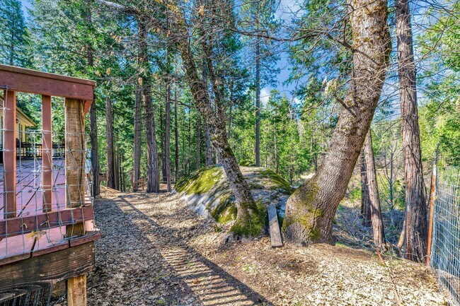 Photo - 1312 Squaw Rock Trail