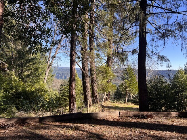 Photo - 19818 Scotts Flat Rd