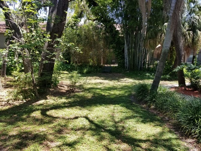 Photo - CONDO NEAR USF! Unit 101